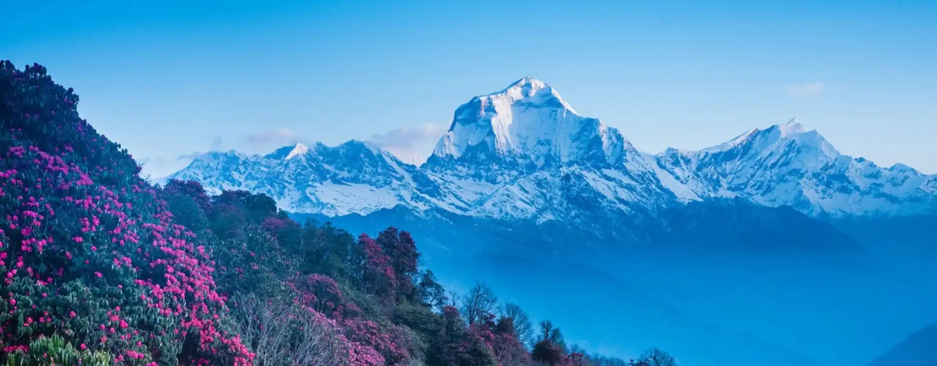 nepal-banner-ezgif.com-jpg-to-webp-converter