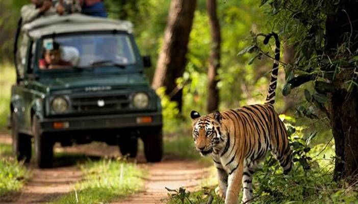 chitwan-jungle-safari (1)